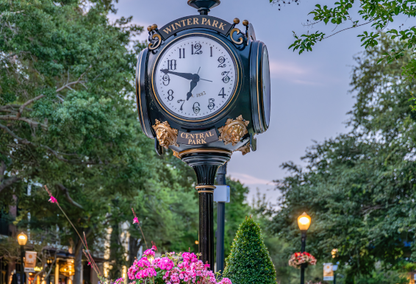 "winter park" flock in shopping plaza